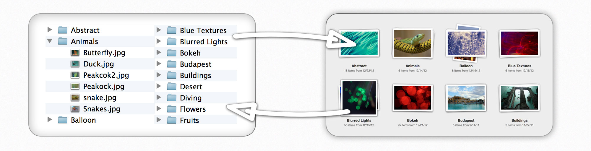 File System as Library
